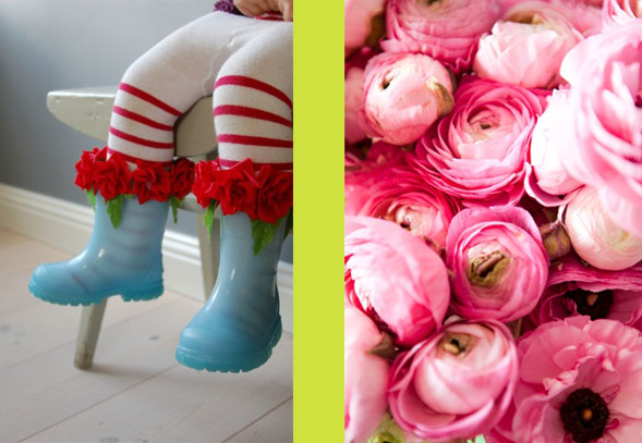 collage.rosa3